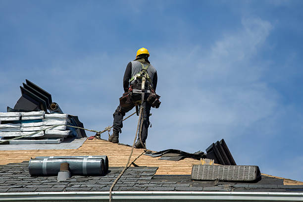 Professional Flat Roof Repair technician working in Maple Grove, MN